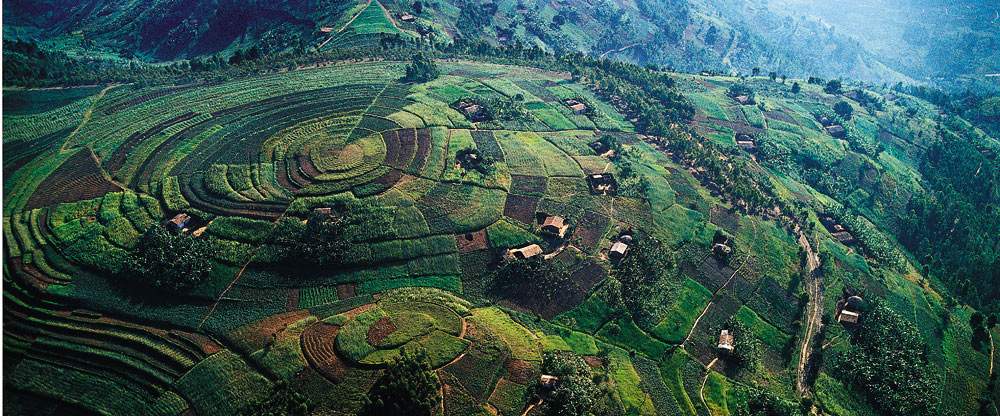 Kseniya Sobchak ishtirokidagi soxta porno