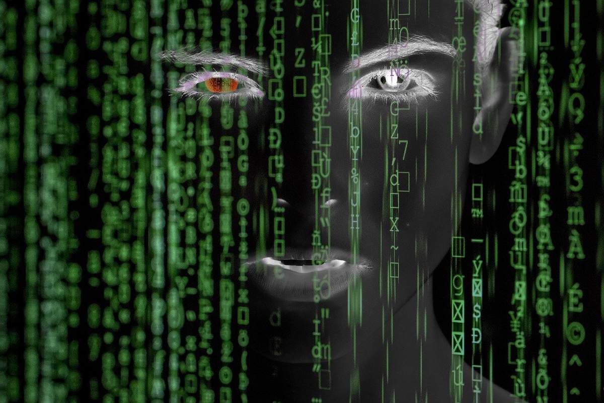Web matrix