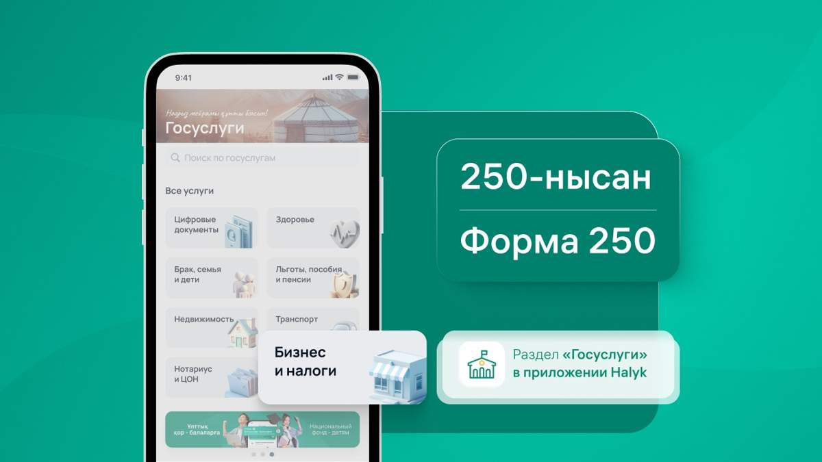 Всё по полочкам: что такое налоговая отчётность ФНО 250 и почему важно её  сдавать