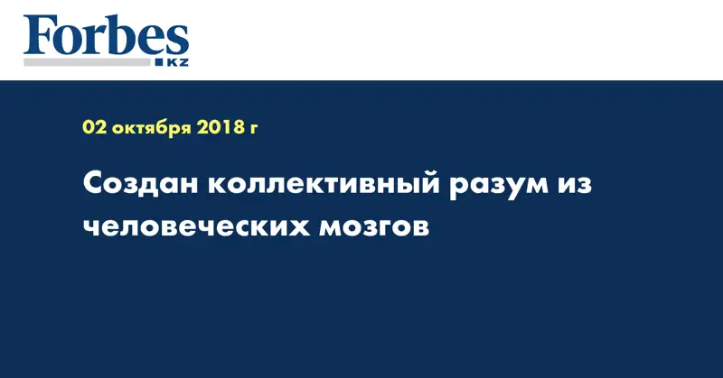 Создан коллективный разум из человеческих мозгов