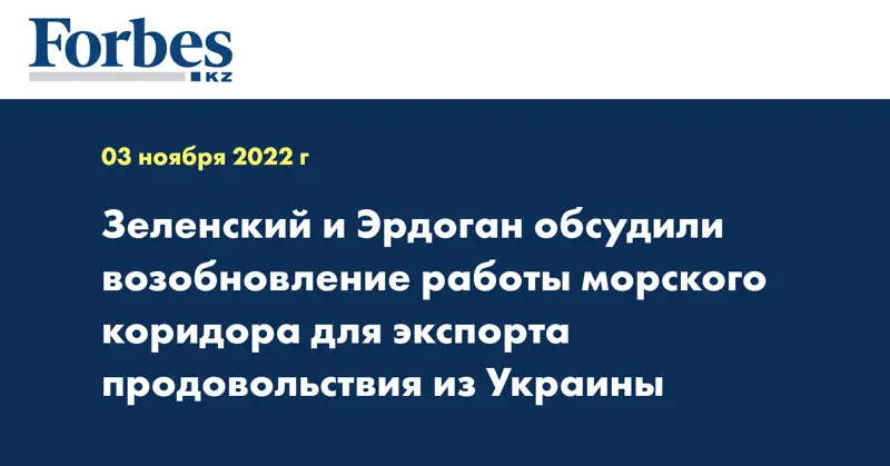 Зеленский и Эрдоган обсудили возобновление работы морского коридора для экспорта продовольствия из Украины