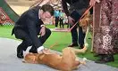 Президент Казахстана подарил французскому лидеру щенков тазы 