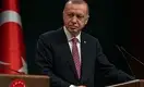 Эрдоган предложил разделить Кипр на два государства