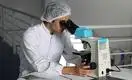 Россия передала Казахстану тест-системы для диагностики коронавируса