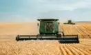 В Казахстане выросли цены на пшеницу