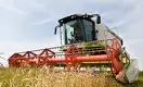 В зерновой индустрии Казахстана копятся проблемы