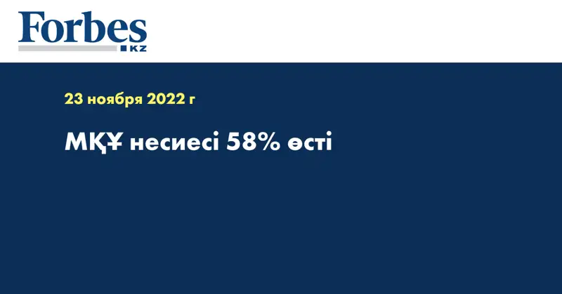 МҚҰ несиесі 58% өсті
