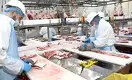 KazBeef может возобновить экспорт мяса в Россию и Китай 