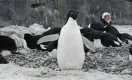 11 друзей Анарбека в гостях у пингвинов