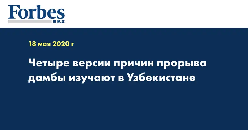 Четыре версии причин прорыва дамбы изучают в Узбекистане
