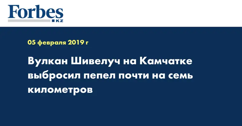 Вулкан Шивелуч на Камчатке выбросил пепел почти на семь километров в высоту