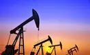 По прогнозу ОПЕК Казахстан войдёт в число лидеров по приросту добычи нефти