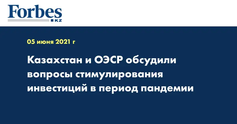 Казахстан и ОЭСР обсудили вопросы стимулирования инвестиций в период пандемии