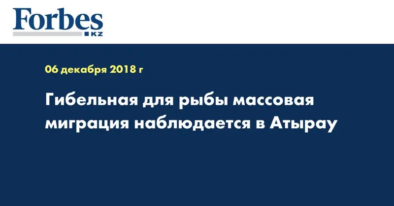 Гибельная для рыбы массовая миграция наблюдается в Атырау