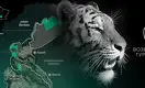 Туранский тигр возвращается в Казахстан через 70 лет после исчезновения