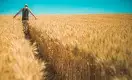 Казахстан будет поставлять в Грецию зерно