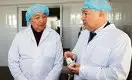Метабиотик на основе саумала разработали казахстанские учёные 