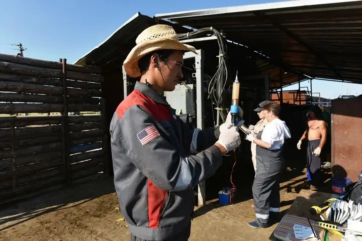 За три года инвестиции ТОО «Агротехнологическая компания» в производство коров путем эмбрионального оплодотворения составили $10 млн