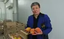 Как под Карагандой выращивают папайю, апельсины и грейпфруты