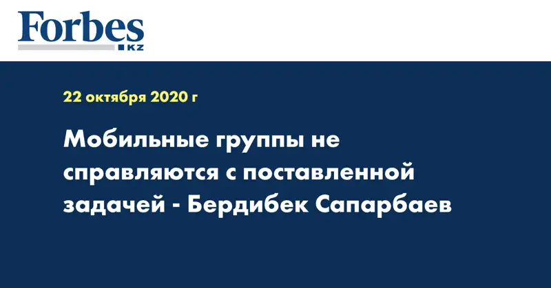 Мобильные группы не справляются с поставленной задачей - Бердибек Сапарбаев
