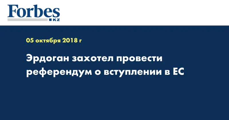Эрдоган захотел провести референдум о вступлении в ЕС
