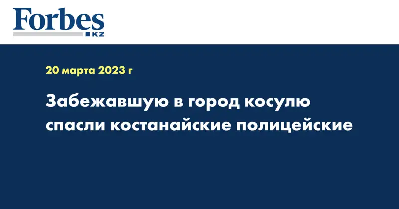 Забежавшую в город косулю спасли костанайские полицейские