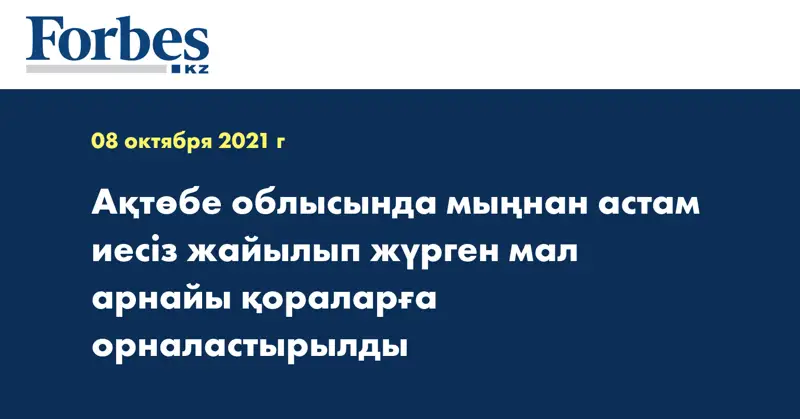 Ақтөбе облысында мыңнан астам иесіз жайылып жүрген мал арнайы қораларға орналастырылды