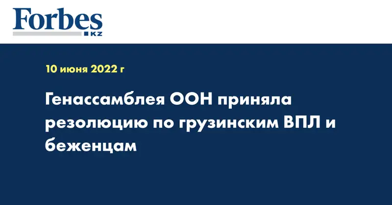 Генассамблея ООН приняла резолюцию по грузинским ВПЛ и беженцам