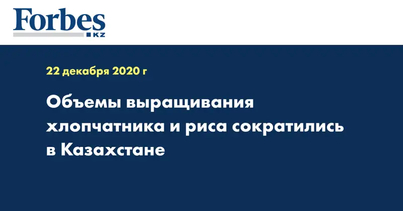 Объемы выращивания хлопчатника и риса сократились в Казахстане