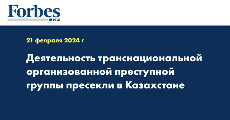 Деятельность транснациональной организованной преступной группы пресекли в Казахстане