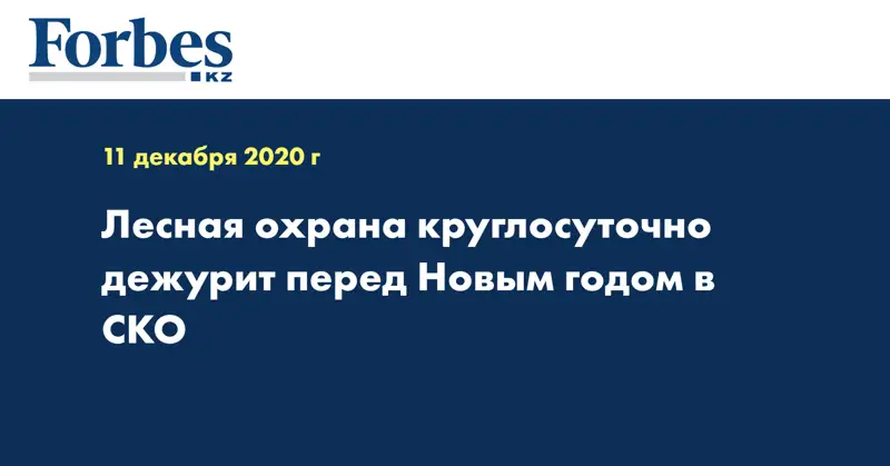 Лесная охрана круглосуточно дежурит перед Новым годом в СКО