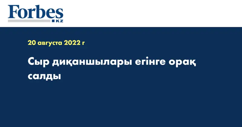 Сыр диқаншылары егінге орақ салды