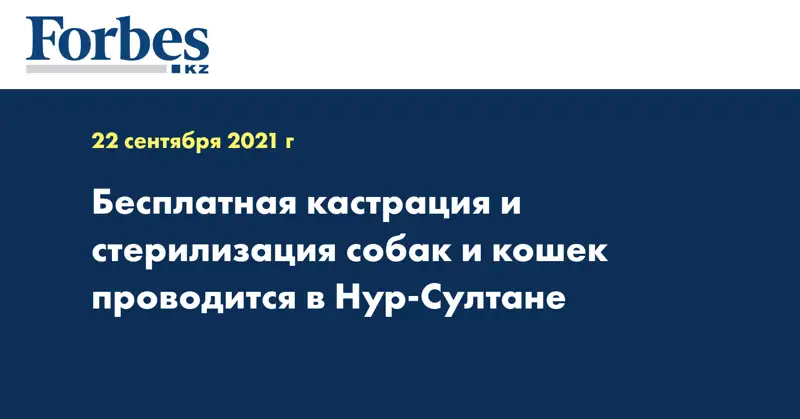 Бесплатная кастрация и стерилизация собак и кошек проводится в Нур-Султане