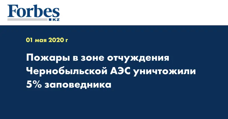 Пожары в зоне отчуждения Чернобыльской АЭС уничтожили 5% заповедника