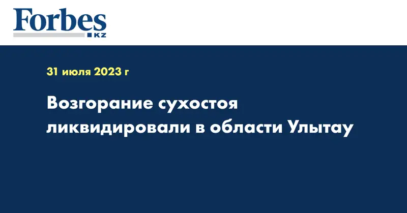 Возгорание сухостоя ликвидировали в области Улытау