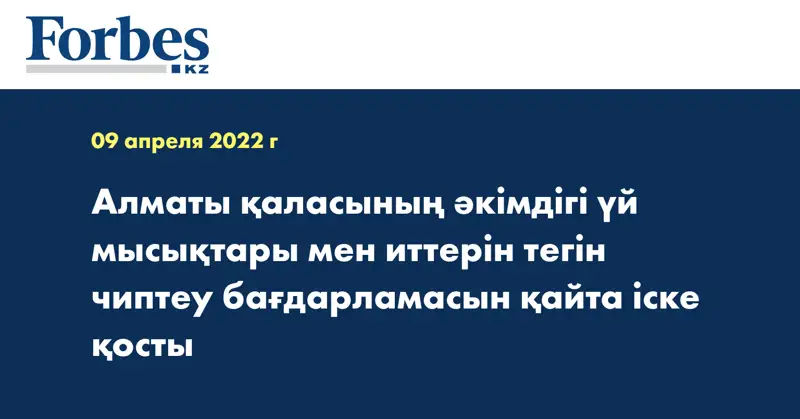 Алматы қаласының әкімдігі үй мысықтары мен иттерін тегін чиптеу бағдарламасын қайта іске қосты