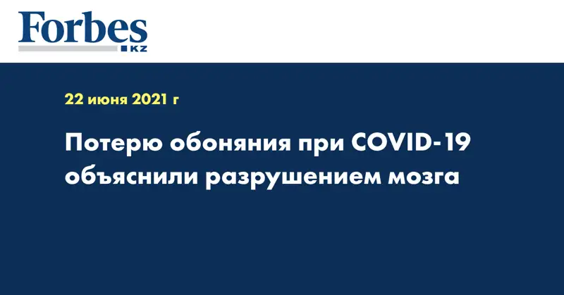 Потерю обоняния при COVID-19 объяснили разрушением мозга