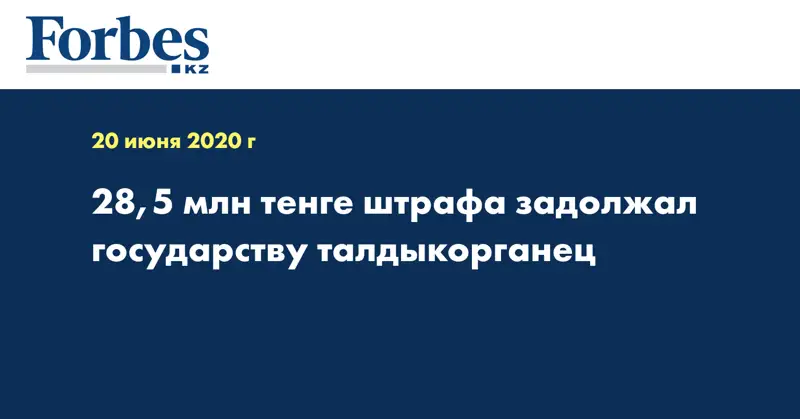 28,5 млн тенге штрафа задолжал государству талдыкорганец 