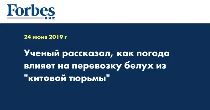 Ученый рассказал, как погода влияет на перевозку белух из 