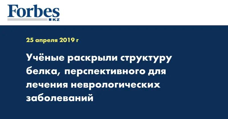 Ученые раскрыли структуру белка, перспективного для лечения неврологических заболеваний