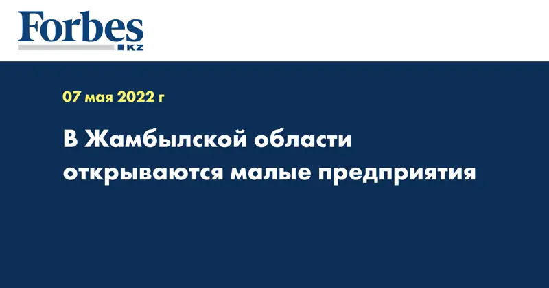 В Жамбылской области открываются малые предприятия