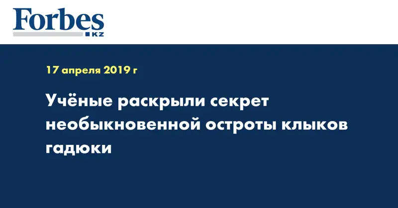 Ученые раскрыли секрет необыкновенной остроты клыков гадюки