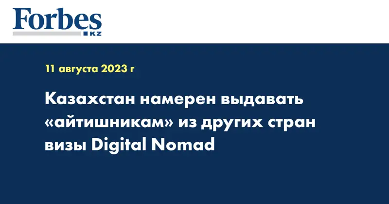Казахстан намерен выдавать «айтишникам» из других стран визы Digital Nomad