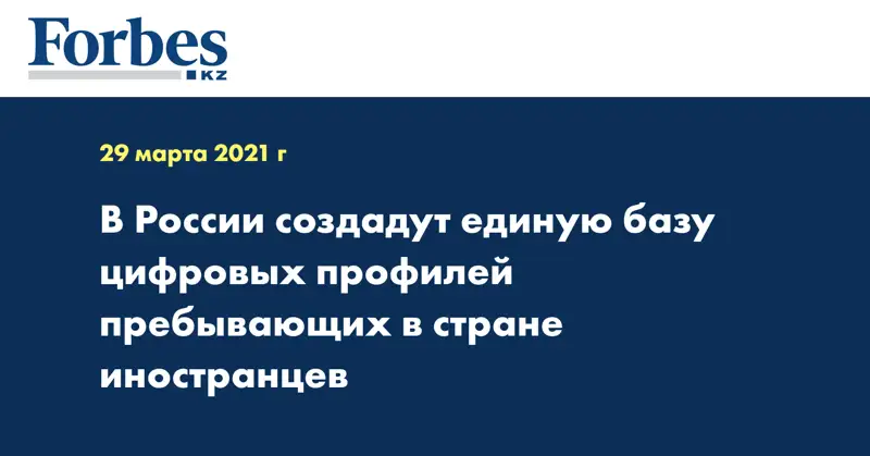 В России создадут единую базу цифровых профилей пребывающих в стране иностранцев