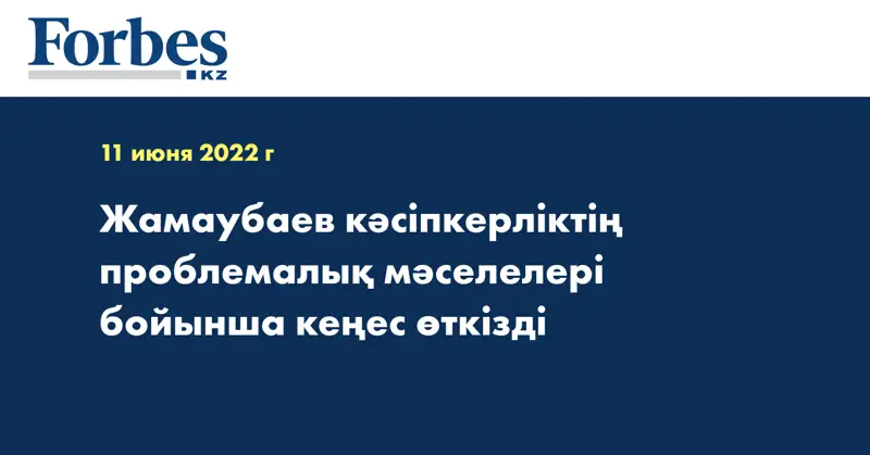 Жамаубаев кәсіпкерліктің проблемалық мәселелері бойынша кеңес өткізді
