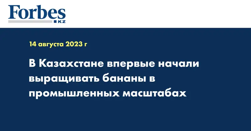 В Казахстане впервые начали выращивать бананы в промышленных масштабах