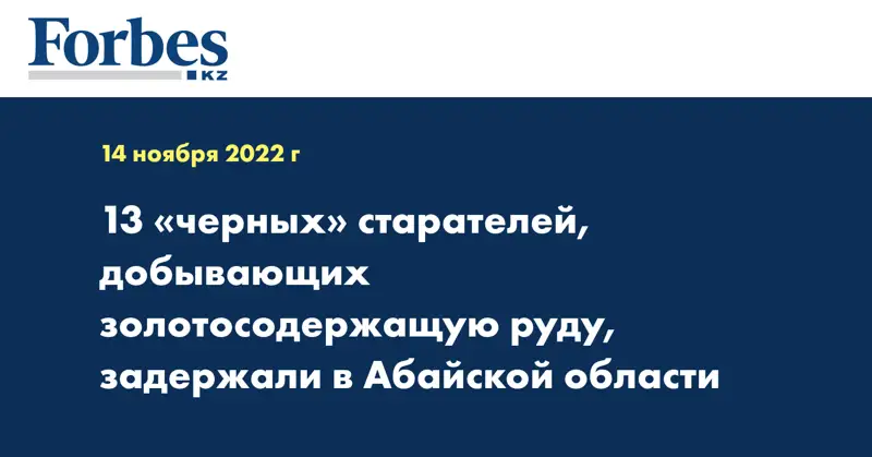 13 «черных» старателей, добывающих золотосодержащую руду, задержали в Абайской области