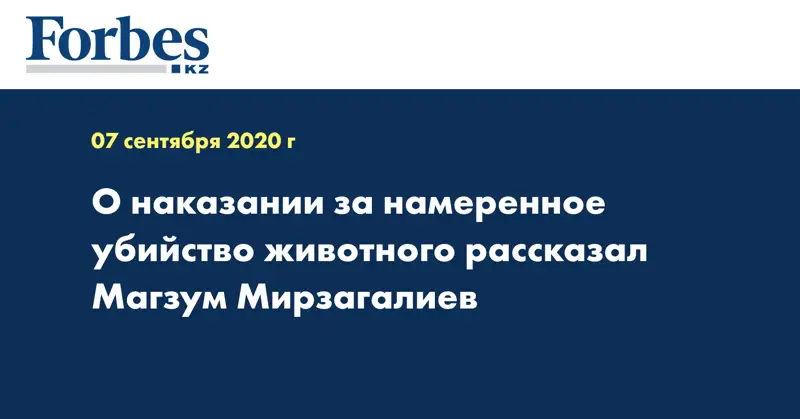 О наказании за намеренное убийство животного рассказал Магзум Мирзагалиев