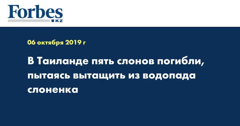 В Таиланде пять слонов погибли, пытаясь вытащить из водопада слоненка