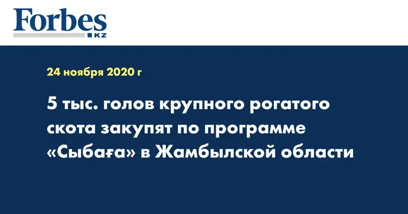 5 тыс. голов крупного рогатого скота закупят по программе «Сыбаға» в Жамбылской области